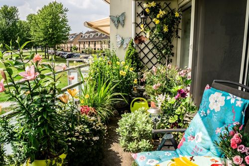 מרפסת מלאה בסוגי פרחים